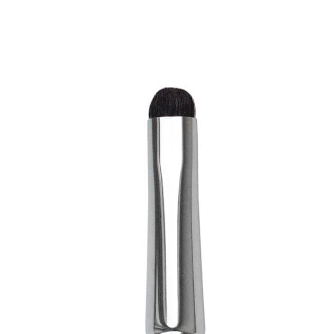 Small Eye Shadow Brush Era Professional Makeup