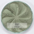 TWINKLE EYESHADOW Face Care Era Minerals Ginkgo