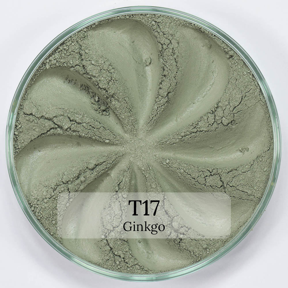 TWINKLE EYESHADOW Face Care Era Minerals Ginkgo