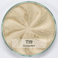 TWINKLE EYESHADOW Face Care Era Minerals Gossamer