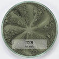 TWINKLE EYESHADOW Face Care Era Minerals Jurassic