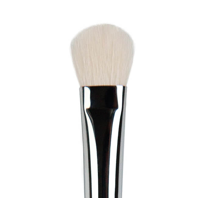 Universal Blending Brush Era Professional Makeup